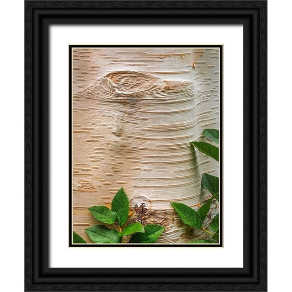 Mahan, Kathy 15x18 Black Ornate Wood Framed with Double Matting Museum Art Print Titled - Paper Birch Bark II