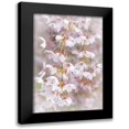 thumbnail image 1 of Mahan, Kathy 17x24 Black Modern Framed Museum Art Print Titled - Soft Cherry Blossoms I, 1 of 5