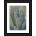 thumbnail image 1 of Mahan, Kathy 17x24 Black Ornate Wood Framed with Double Matting Museum Art Print Titled - California Agave I, 1 of 4