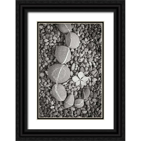 Mahan, Kathy 17x24 Black Ornate Wood Framed with Double Matting Museum Art Print Titled - Curving Rocks II