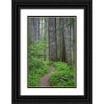 thumbnail image 1 of Mahan, Kathy 17x24 Black Ornate Wood Framed with Double Matting Museum Art Print Titled - Lewis River Trail, 1 of 4