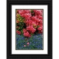 thumbnail image 1 of Mahan, Kathy 17x24 Black Ornate Wood Framed with Double Matting Museum Art Print Titled - Lithodora and Rhododendron, 1 of 4