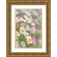 thumbnail image 1 of Mahan, Kathy 17x24 Gold Ornate Wood Framed with Double Matting Museum Art Print Titled - Santa Barbara Daisies II, 1 of 4