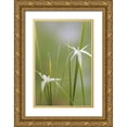 thumbnail image 1 of Mahan, Kathy 17x24 Gold Ornate Wood Framed with Double Matting Museum Art Print Titled - Star Grass I, 1 of 4