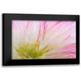 thumbnail image 1 of Mahan, Kathy 18x13 Black Modern Framed Museum Art Print Titled - Mimosa Tree Blossom IV, 1 of 5