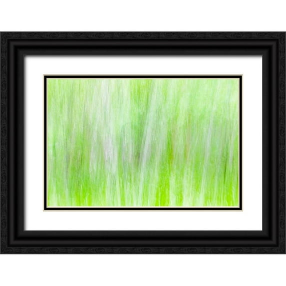 Mahan, Kathy 18x13 Black Ornate Wood Framed with Double Matting Museum Art Print Titled - Aspen Blur II