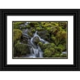 thumbnail image 1 of Mahan, Kathy 18x13 Black Ornate Wood Framed with Double Matting Museum Art Print Titled - Cedar Creek Detail I, 1 of 4