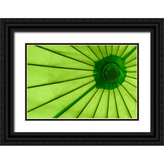 Mahan, Kathy 18x13 Black Ornate Wood Framed with Double Matting Museum Art Print Titled - Green Umbrella