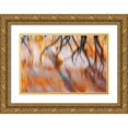 thumbnail image 1 of Mahan, Kathy 18x13 Gold Ornate Wood Framed with Double Matting Museum Art Print Titled - Lake Powell Reflections IV, 1 of 4
