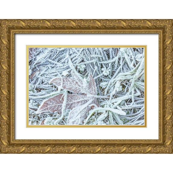 Mahan, Kathy 18x13 Gold Ornate Wood Framed with Double Matting Museum Art Print Titled - Maple Leaf and Frost I