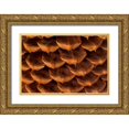 thumbnail image 1 of Mahan, Kathy 18x13 Gold Ornate Wood Framed with Double Matting Museum Art Print Titled - Pine Cone I, 1 of 4
