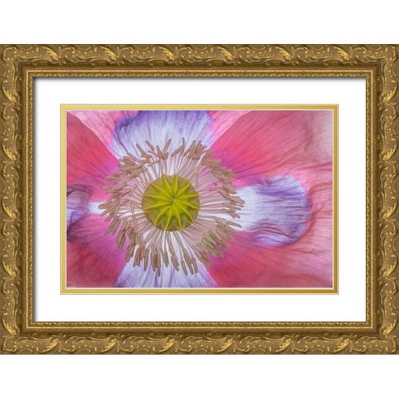Mahan, Kathy 18x13 Gold Ornate Wood Framed with Double Matting Museum Art Print Titled - Pink Poppy II