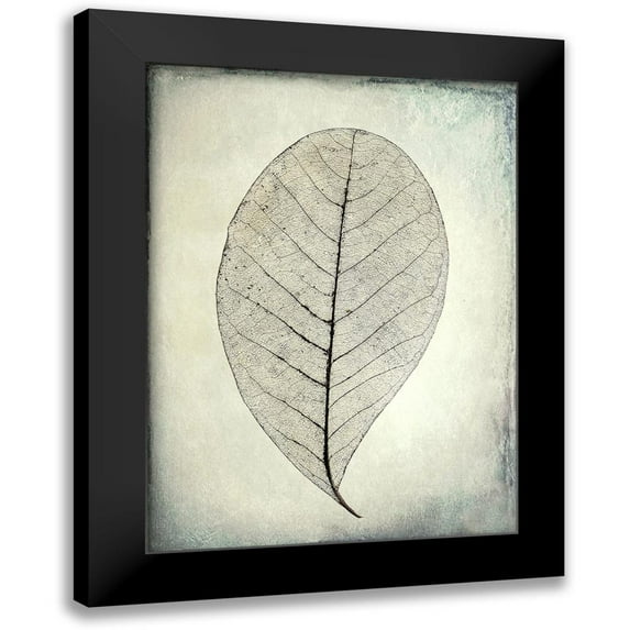 Mahan, Kathy 19x24 Black Modern Framed Museum Art Print Titled - Skeletonized leaf