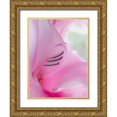 thumbnail image 1 of Mahan, Kathy 19x24 Gold Ornate Wood Framed with Double Matting Museum Art Print Titled - Gladiola Blossom I, 1 of 4
