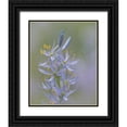 thumbnail image 1 of Mahan, Kathy 20x24 Black Ornate Wood Framed with Double Matting Museum Art Print Titled - Camas Blossoms II, 1 of 4