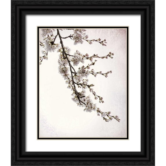 Mahan, Kathy 20x24 Black Ornate Wood Framed with Double Matting Museum Art Print Titled - Flowering Cherry I