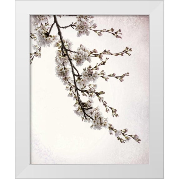 Mahan, Kathy 20x24 White Modern Wood Framed Museum Art Print Titled - Flowering Cherry I