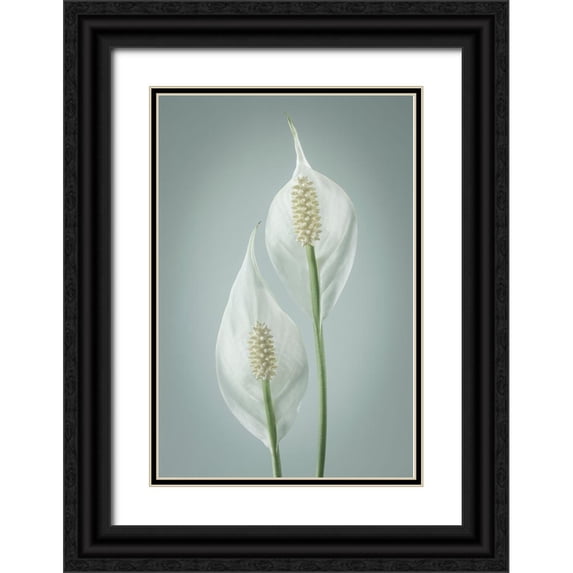Mahan, Kathy 23x32 Black Ornate Wood Framed with Double Matting Museum Art Print Titled - Peace Lily I