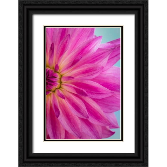 Mahan, Kathy 23x32 Black Ornate Wood Framed with Double Matting Museum Art Print Titled - Pink Dahlia II