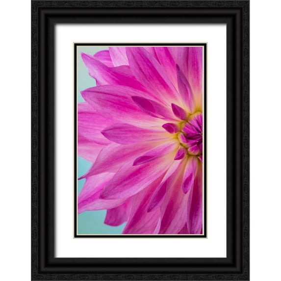 Mahan, Kathy 23x32 Black Ornate Wood Framed with Double Matting Museum Art Print Titled - Pink Dahlia I