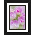 thumbnail image 1 of Mahan, Kathy 23x32 Black Ornate Wood Framed with Double Matting Museum Art Print Titled - Sweet Pea Blossoms II, 1 of 4