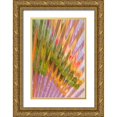thumbnail image 1 of Mahan, Kathy 23x32 Gold Ornate Wood Framed with Double Matting Museum Art Print Titled - Glass Patterns I, 1 of 4