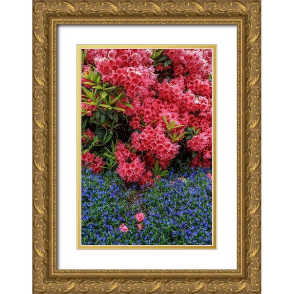 Mahan, Kathy 23x32 Gold Ornate Wood Framed with Double Matting Museum Art Print Titled - Lithodora and Rhododendron