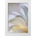 thumbnail image 1 of Mahan, Kathy 23x32 White Modern Wood Framed Museum Art Print Titled - White Magnolia, 1 of 4