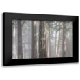 thumbnail image 1 of Mahan, Kathy 24x17 Black Modern Framed Museum Art Print Titled - Fog in the Forest I, 1 of 5