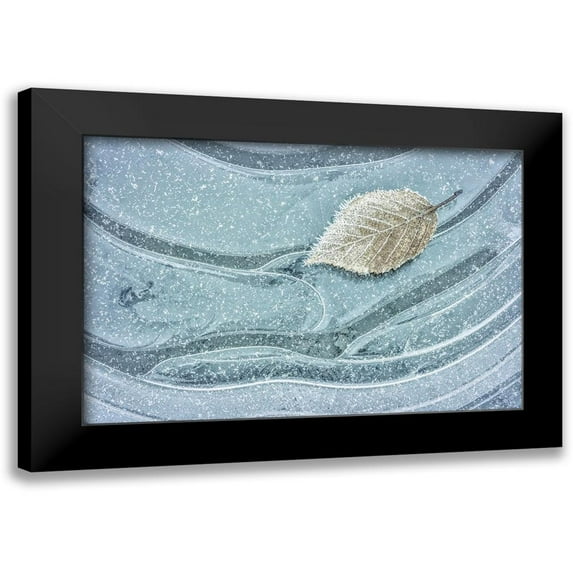 Mahan, Kathy 24x17 Black Modern Framed Museum Art Print Titled - Frosty Leaf on Ice II