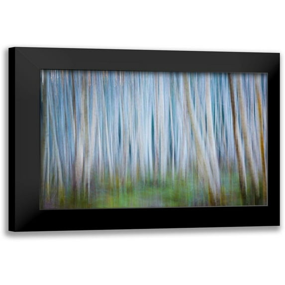 Mahan, Kathy 24x17 Black Modern Framed Museum Art Print Titled - Winter Forest Abstract II