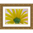 thumbnail image 1 of Mahan, Kathy 24x17 Gold Ornate Wood Framed with Double Matting Museum Art Print Titled - Sunflower Macro II, 1 of 4