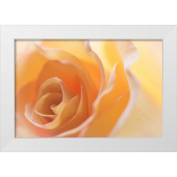 Mahan, Kathy 24x17 White Modern Wood Framed Museum Art Print Titled - Yellow Roses II