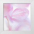 thumbnail image 1 of Mahan, Kathy 26x26 White Modern Wood Framed Museum Art Print Titled - Pink Hydrangea I, 1 of 4