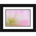 thumbnail image 1 of Mahan, Kathy 32x23 Black Ornate Wood Framed with Double Matting Museum Art Print Titled - Mimosa Tree Blossom II, 1 of 4