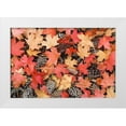 thumbnail image 1 of Mahan, Kathy 32x23 White Modern Wood Framed Museum Art Print Titled - Fallen Leaves II, 1 of 4