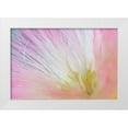 thumbnail image 1 of Mahan, Kathy 32x23 White Modern Wood Framed Museum Art Print Titled - Mimosa Tree Blossom I, 1 of 4