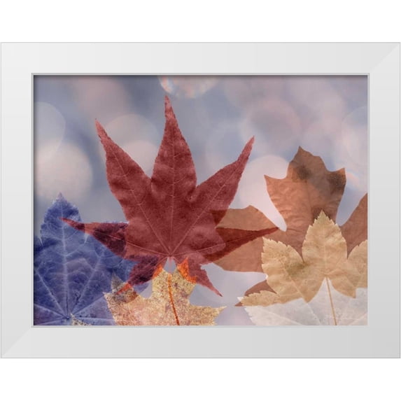 Mahan, Kathy 32x25 White Modern Wood Framed Museum Art Print Titled - Leaf Patterns II