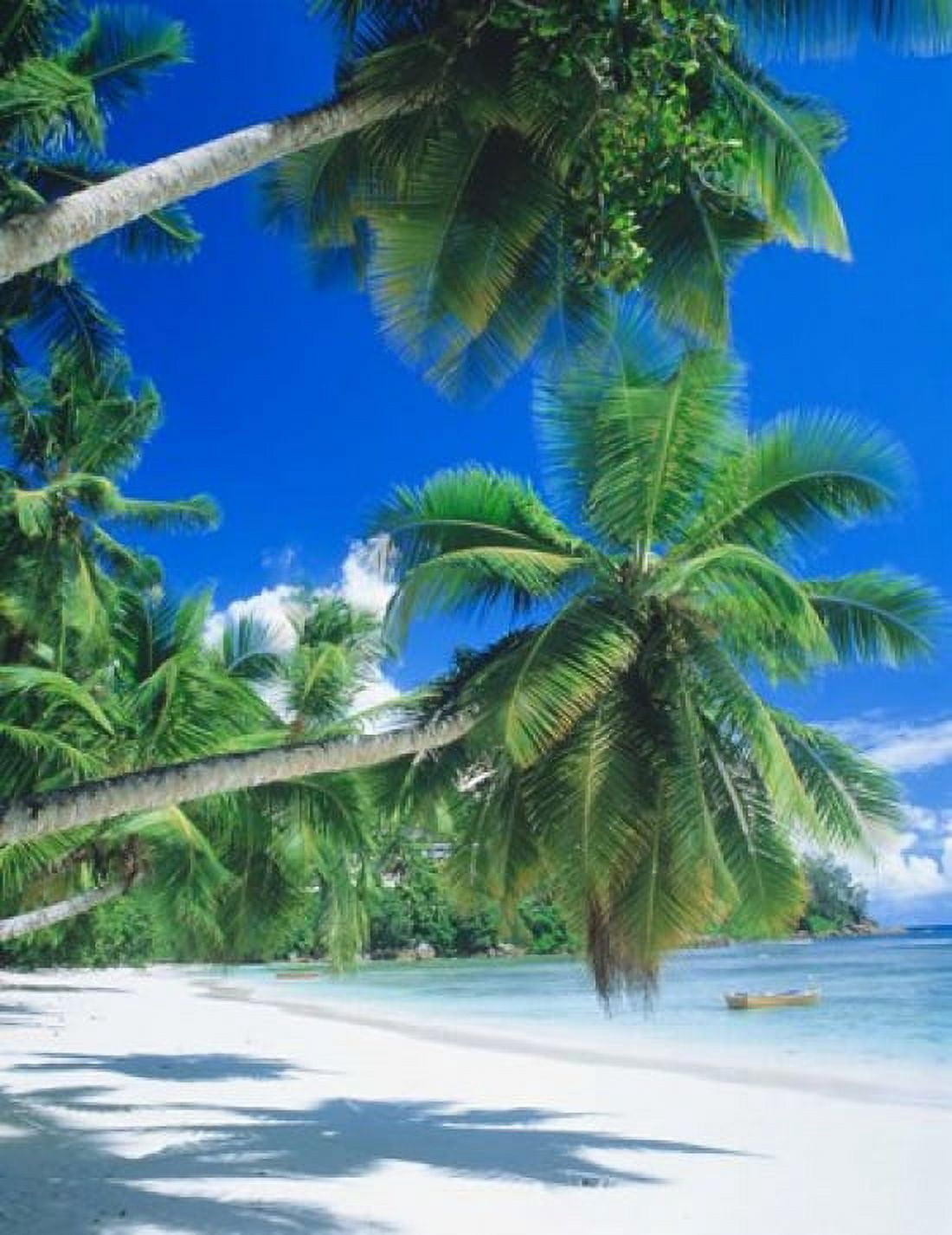 Mahe Seychelles Canvas Art - Panoramic Images (12 x 16)