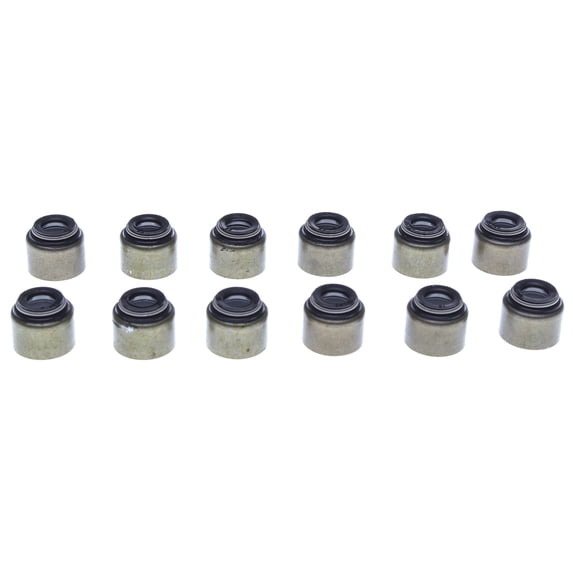Mahle Engine Valve Stem Oil Seal Set SS45790