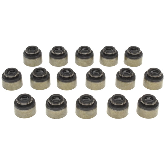 Mahle Engine Valve Stem Oil Seal Set SS45870