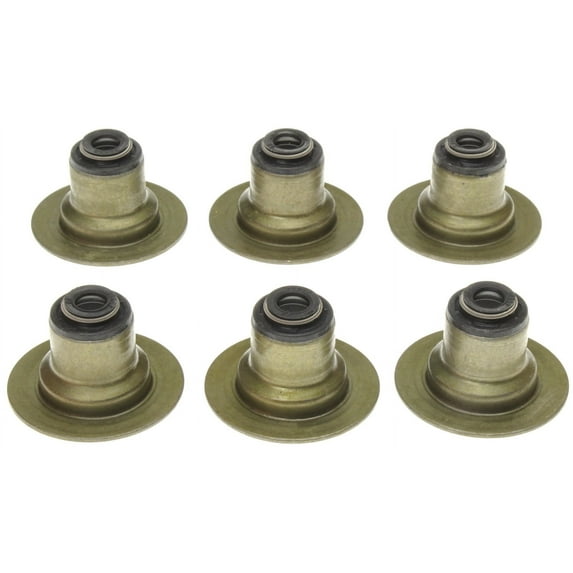 Mahle Engine Valve Stem Oil Seal Set SS45906
