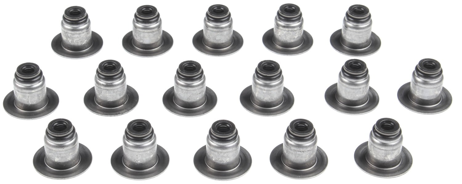 Mahle Engine Valve Stem Oil Seal Set SS46083