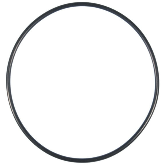 Mahle Water Pump Hsng Gasket
