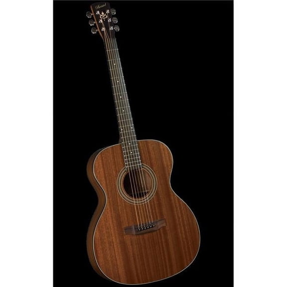 Mahogany Acoustic Guitar