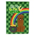 thumbnail image 1 of Mahogany Golden Retriever St. Patricks Day Flag Garden Size, 1 of 3
