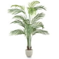 thumbnail image 1 of Maia Shop 6ft Artificial Palm Tree, Fake Plants for Home Decor, 1 of 9