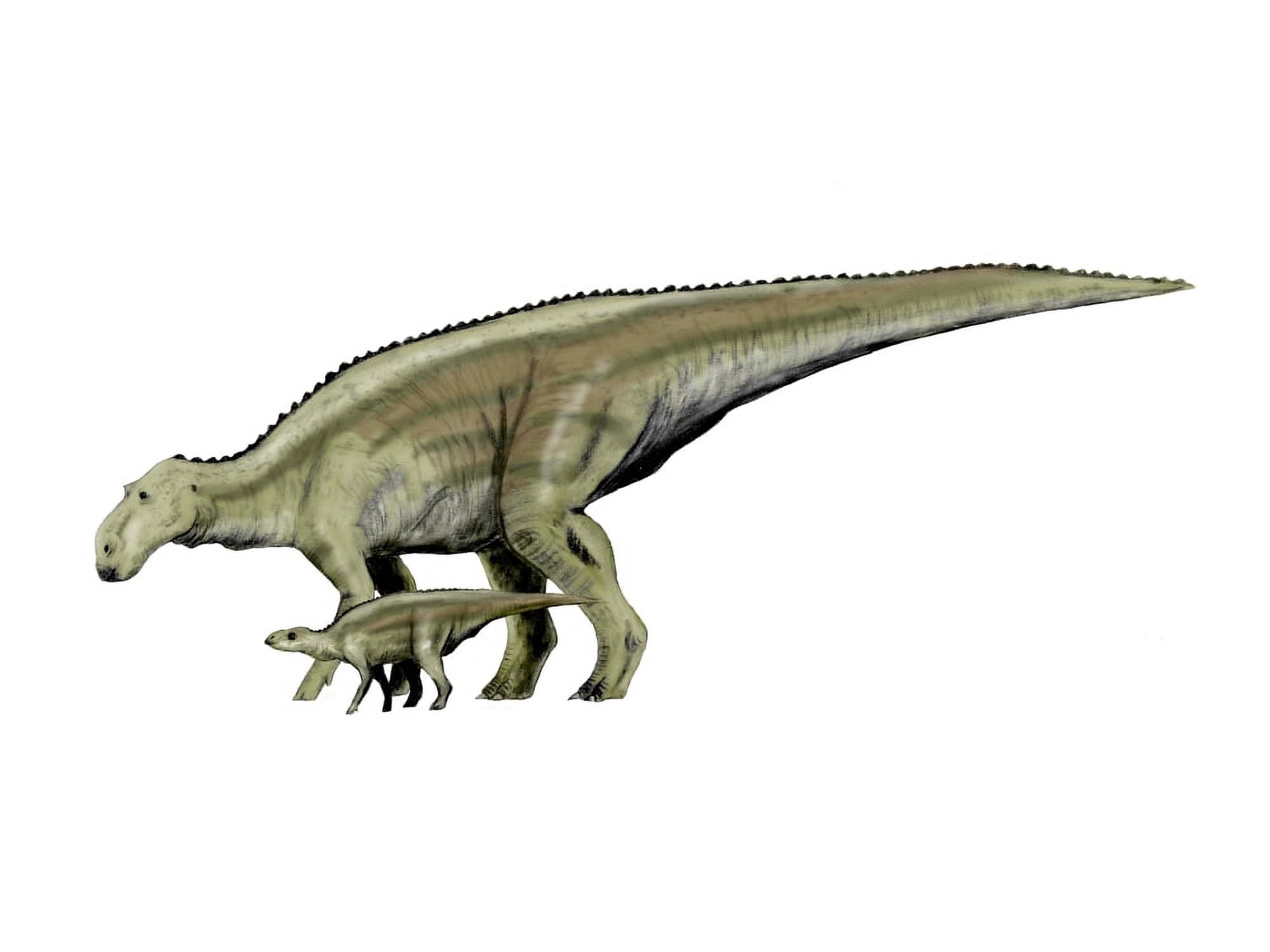 Maiasaura dinosaur and offspring Canvas Art - Nobumichi TamuraStocktrek Images (33 x 25)