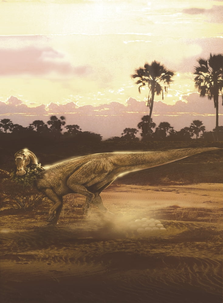 Maiasaura duckbill dinosaur laying eggs in a nest Canvas Art - Jan SovakStocktrek Images (12 x 17)