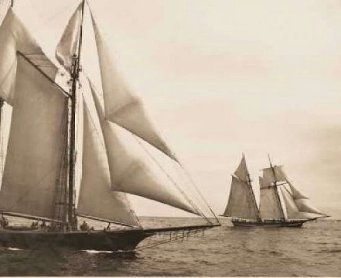 Maiden Voyage I Canvas Art - David Stevens (20 x 24)